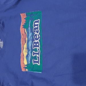 this is a barely worn, LL Bean short sleeve. thick material, not that thin